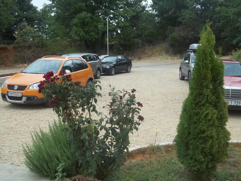 ホテル Pansion Danijel Međugorje エクステリア 写真